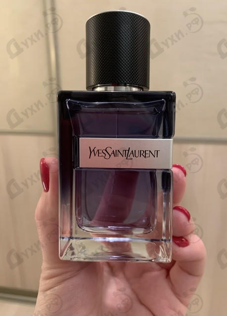 yves saint laurent y live eau de toilette intense